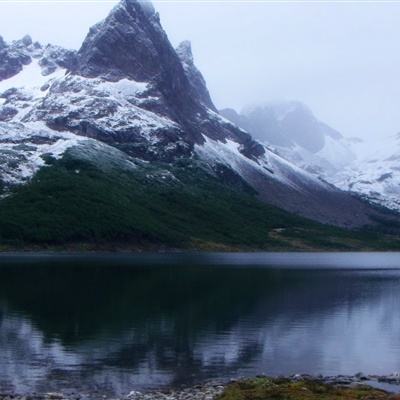 彩信平台官网手机app下载截图